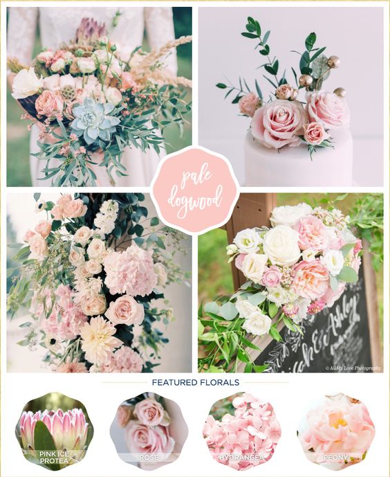 93c22898c04f38260b0057490ac6343c