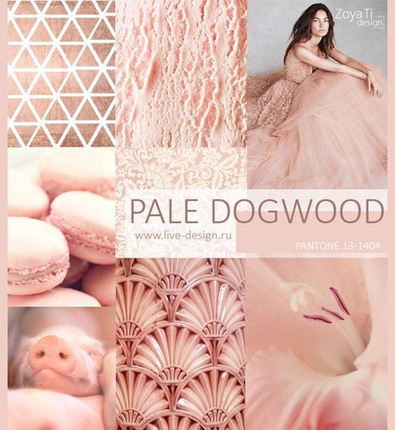 96d617111e7a590a790508782a5c95d8