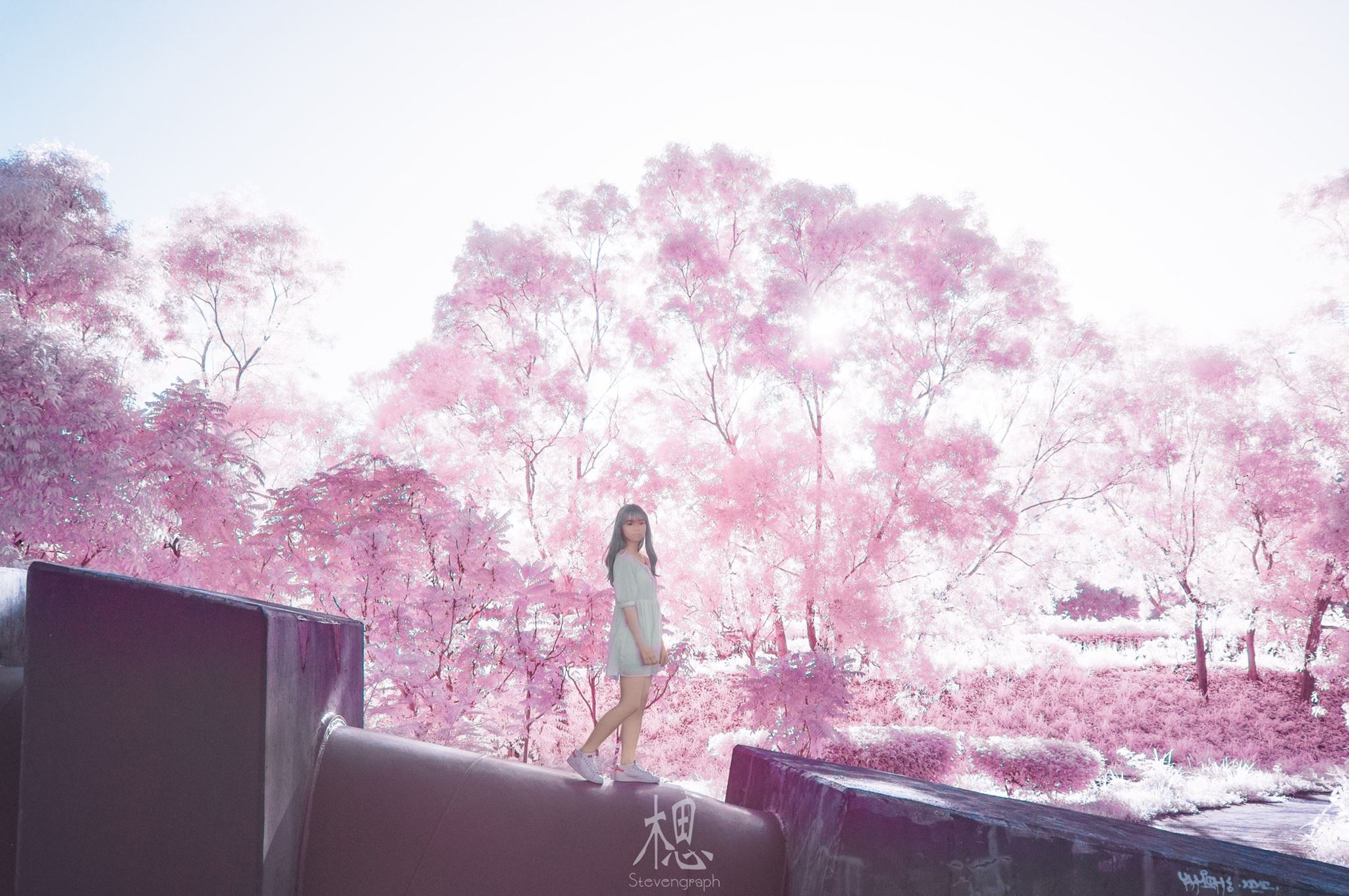 FB:思相 Stevengraph