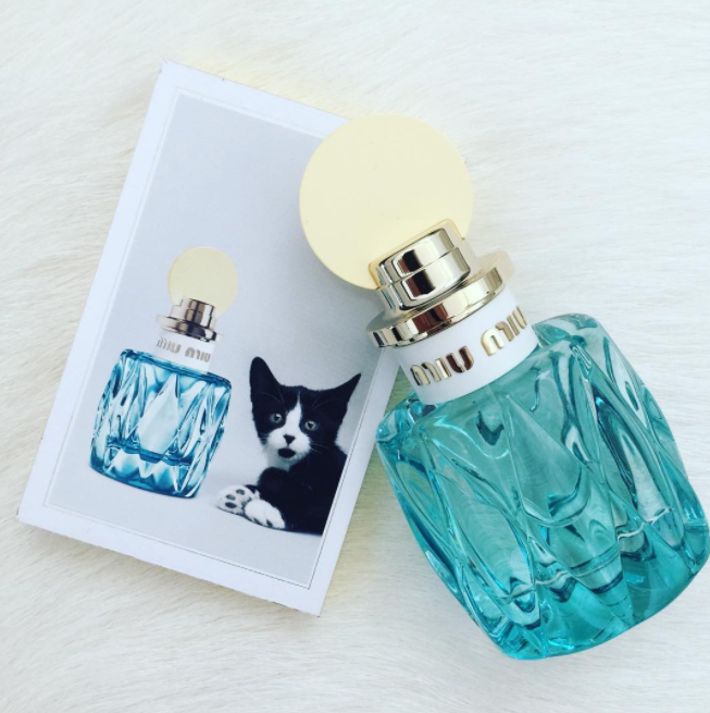 Screen Shot 2017-02-13 at 11.20.52 AM