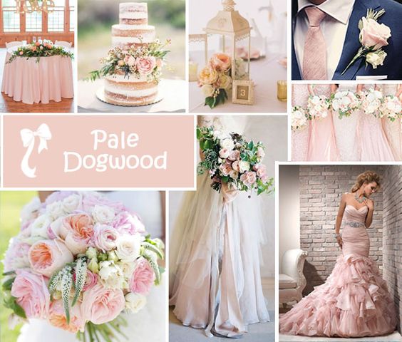 b659474ee715573917a11760676a6a89