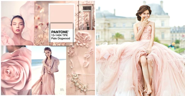 2017Pantone春夏流行色！甜美優雅的「淡山茱萸粉」，婚禮、穿搭、妝物通通換上吧〜