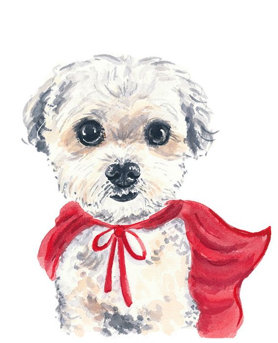 08f3d3ffbc9daccc56c9f5ffada8c742