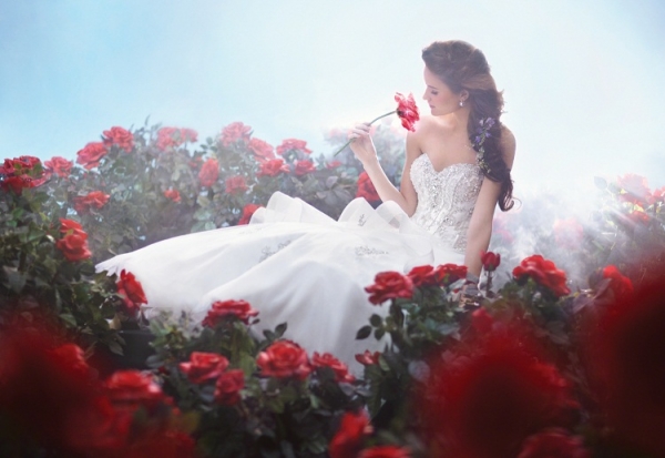 alfred angelo