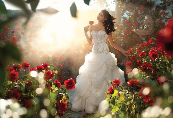 alfred angelo