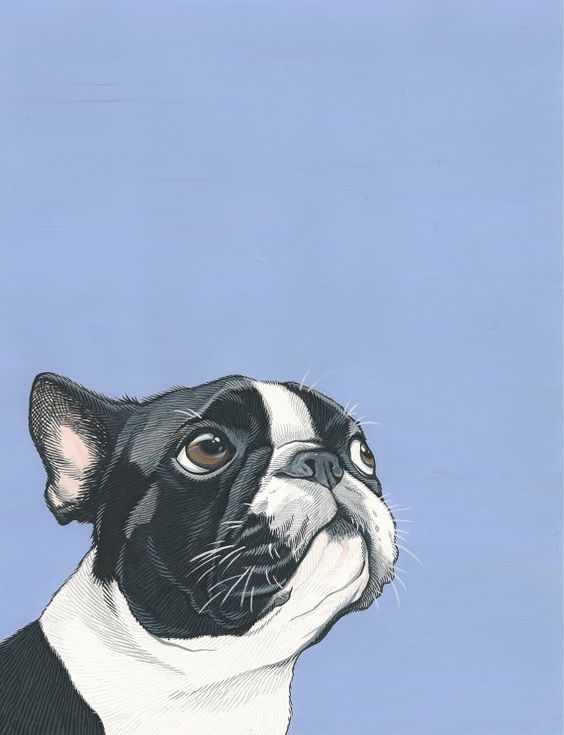 64556a454cfa8fdf00967e3a91b03e0b