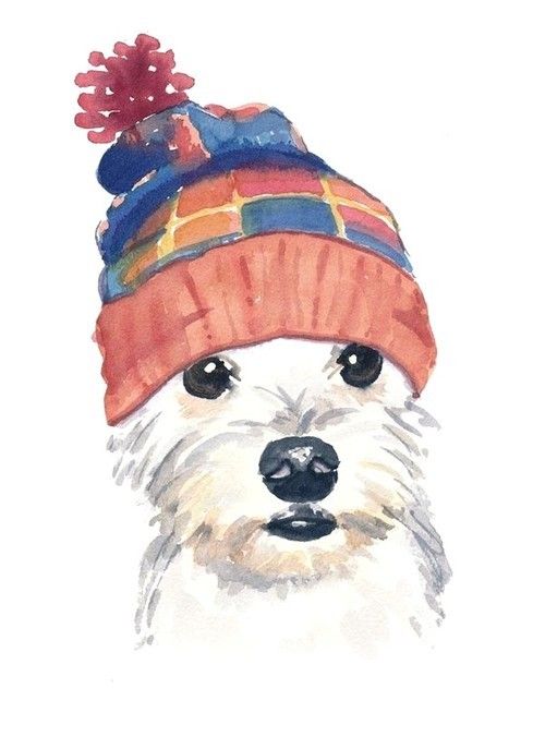 817e206994f6ef854401a5574690651e