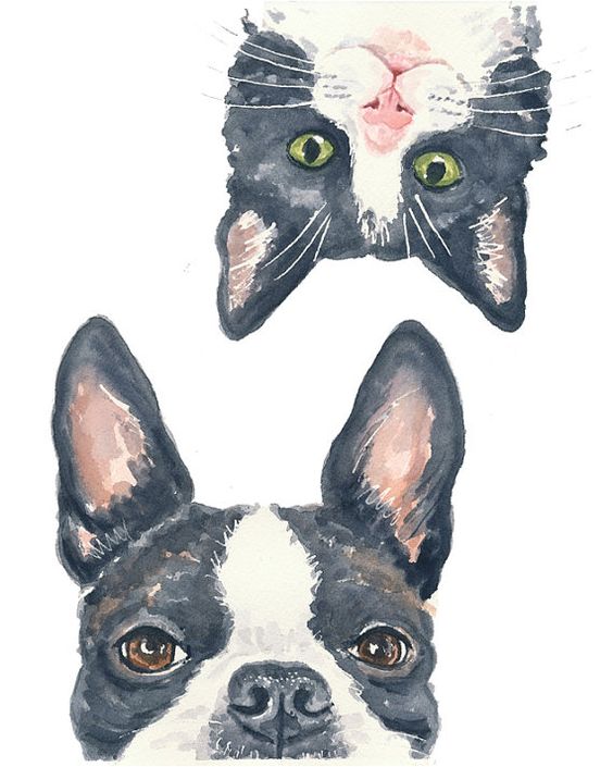 8d714b4a2796acf436fe75b1a1fa4d8f