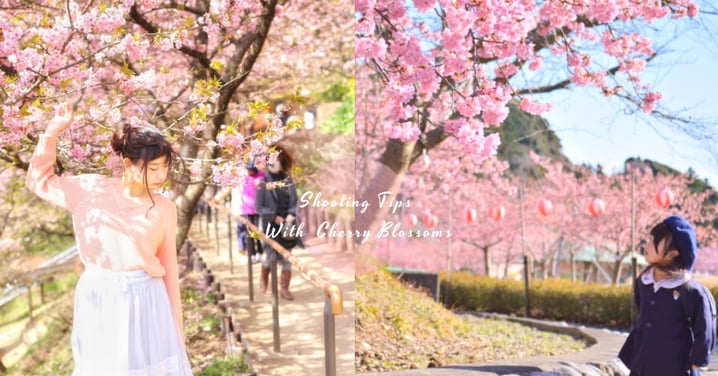 必學！櫻花季9個拍照小貼士，櫻花+角度就可以影到「偽女神」超讚相啦〜