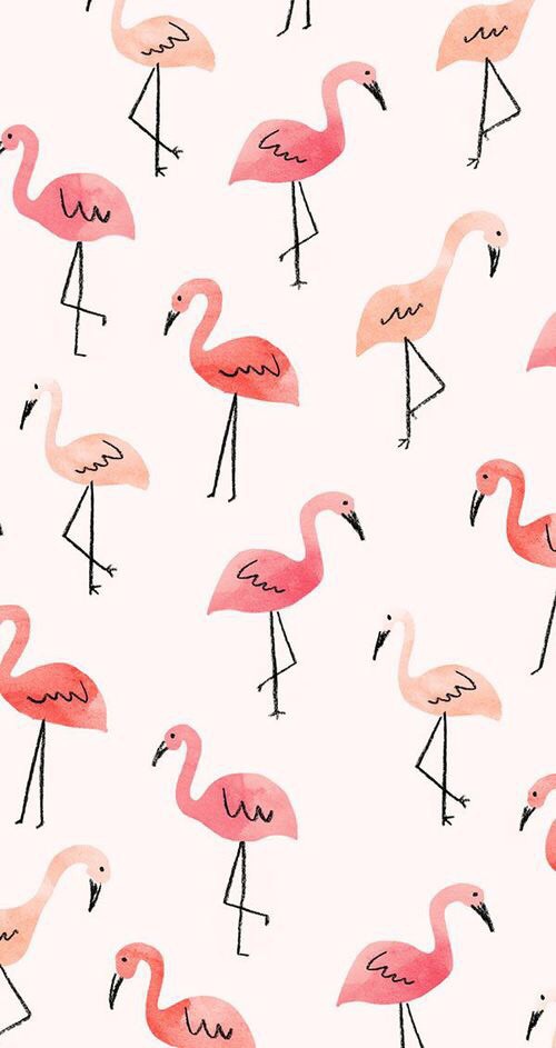 background-flamingos-iphone-wallpaper-love-Favim.com-3859968
