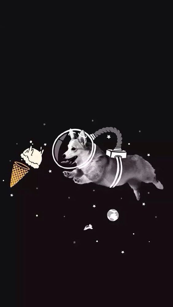 d720d1edbb21efcb5f72f07b40c81b22