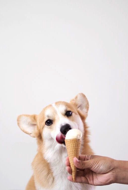 d73e40a9773b20ee9d3bc88cae733424