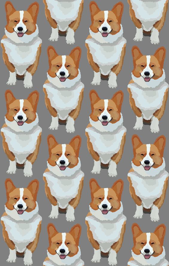 f6f862503c5bccaa51f9b18748a77bbc