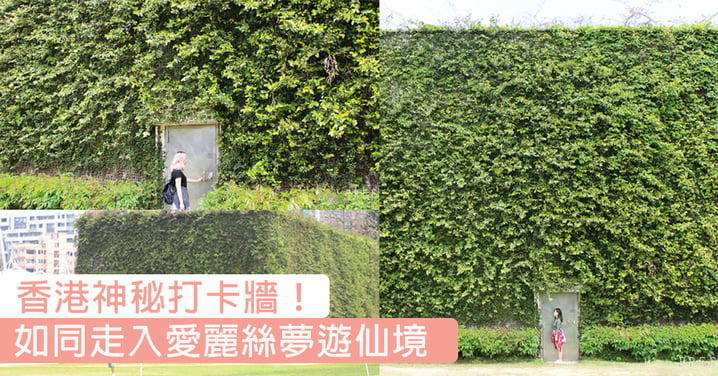 走入愛麗絲夢遊仙境！香港超大幅綠化牆身，打卡一流嘅神秘靚景〜