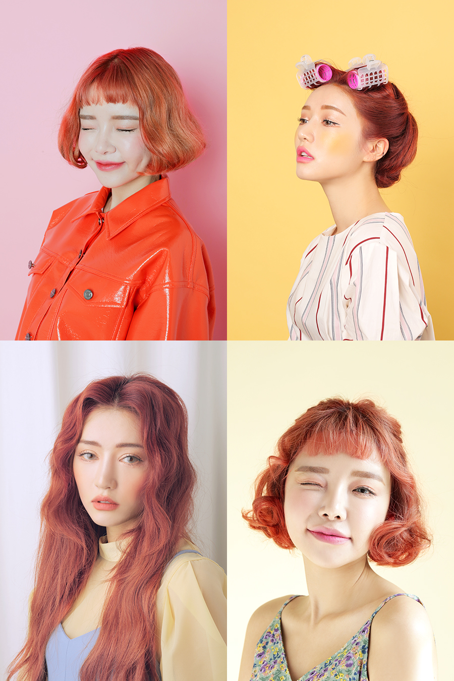 170421-apricot(2)