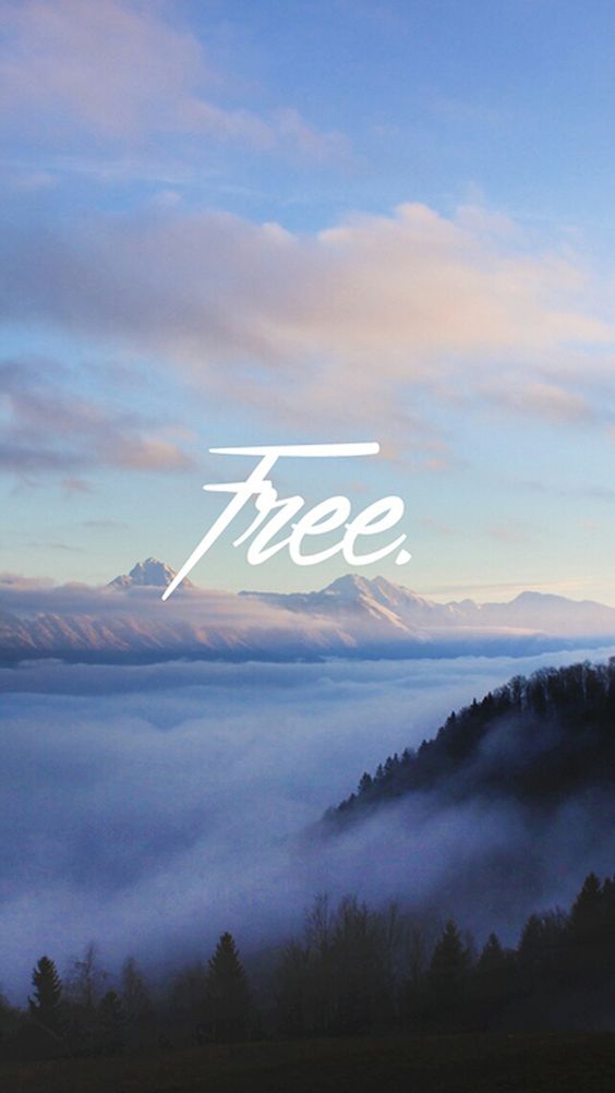 213e9eb89a4f324c2ea29e4f45127fbc