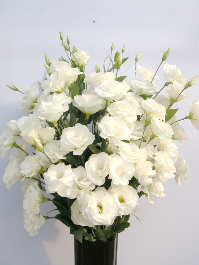48967_medium