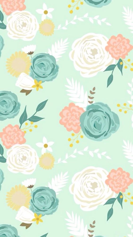 86c50764ee7b717d6a2c72ecbe249e47