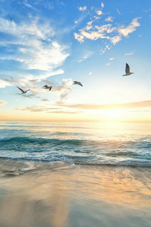 ca0b77e3f84171aed894212883686d01