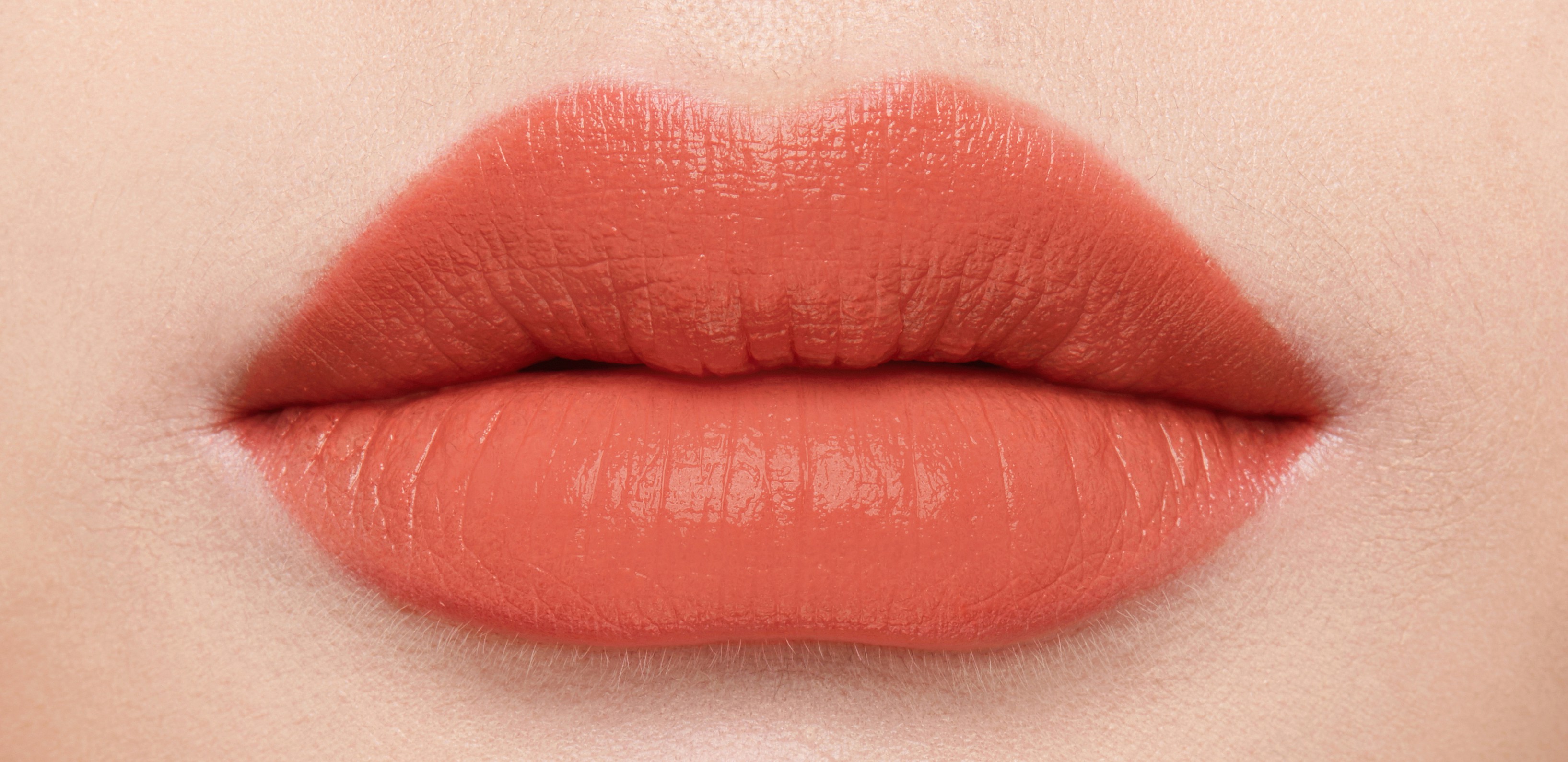 004+모디스트+브라운