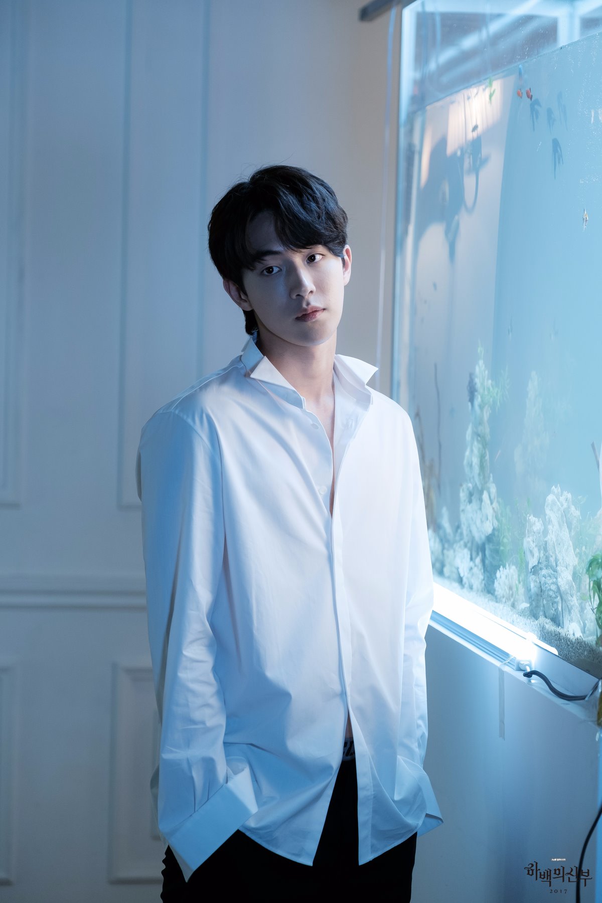 habaek-0608-3