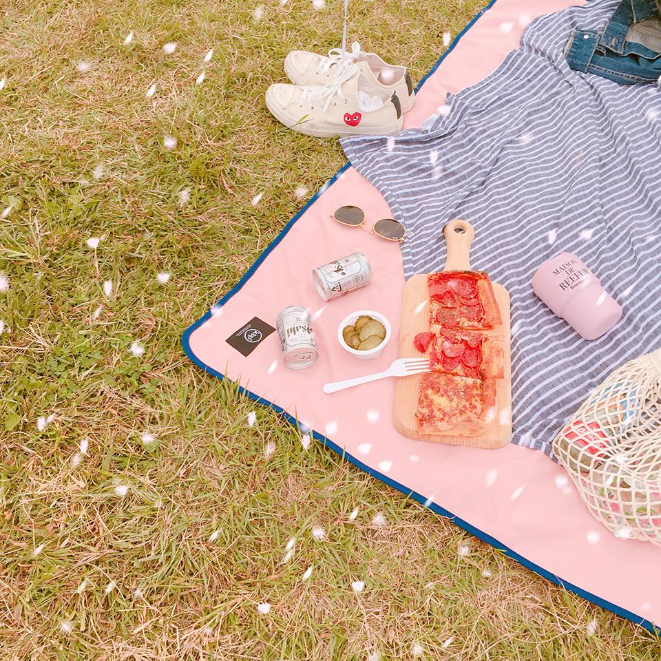 17264260_1838389513077407_3691622718482793987_n