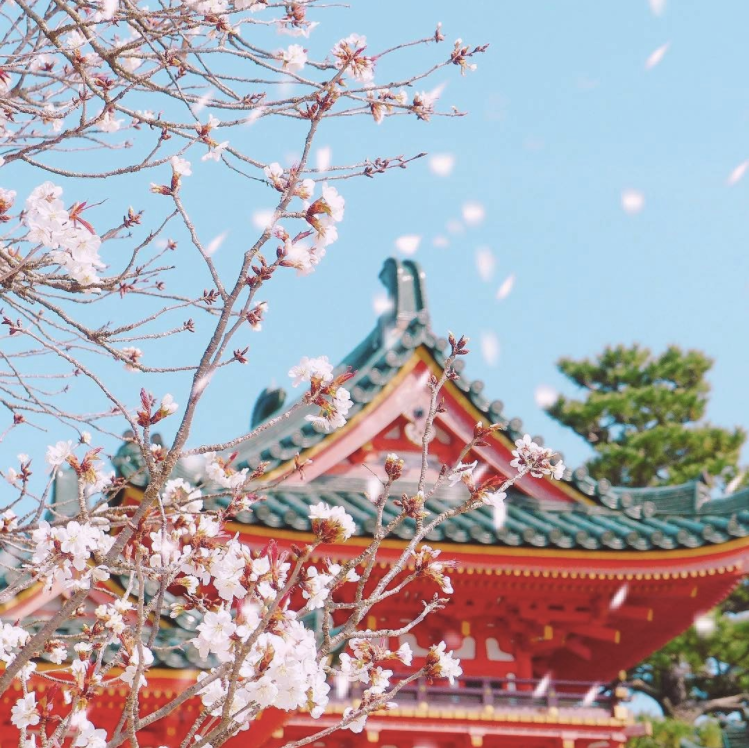 Screen Shot 2017-07-19 at 4.01.19 PM