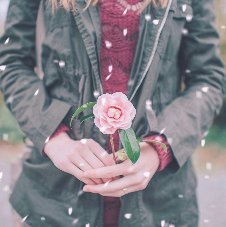 Screen Shot 2017-07-19 at 4.06.02 PM