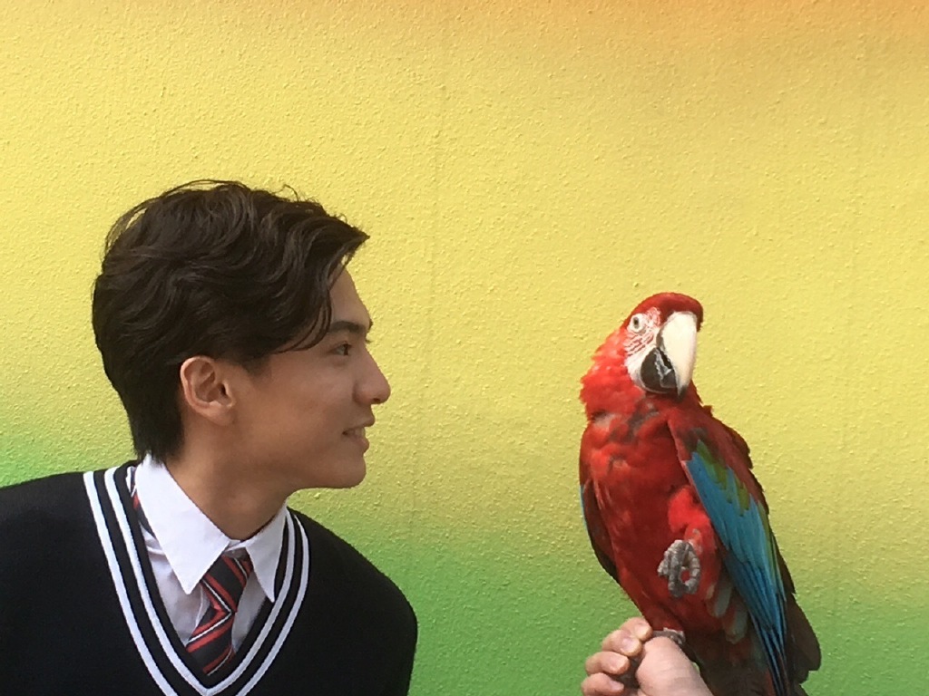 4d804927gy1ffpzpksb8oj20zk0qojyx