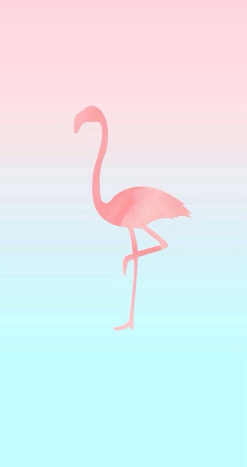 770986f8f28221b0e341831bf40fcd60