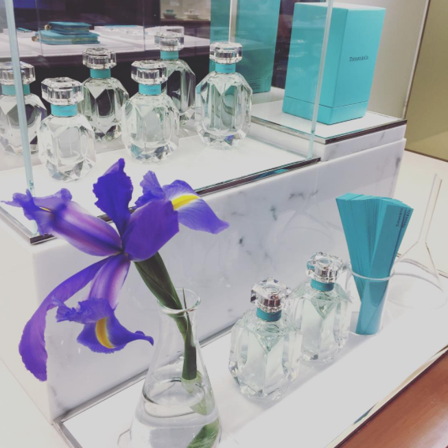 Screen Shot 2017-08-04 at 11.58.02 AM