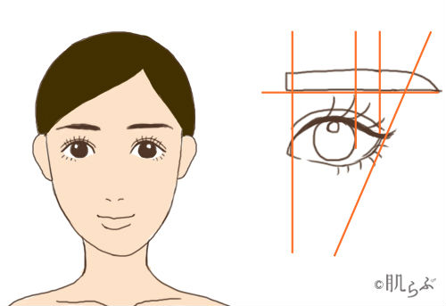 c51ab8964c567accdcd24941ecbbf822