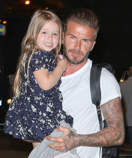 sssdavidbeckham12