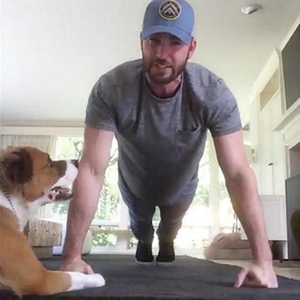 Chris-Evans-and-Dodger-2