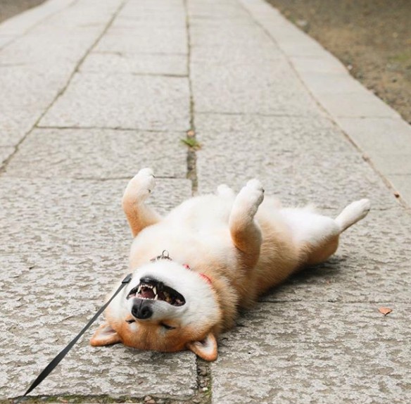 maru