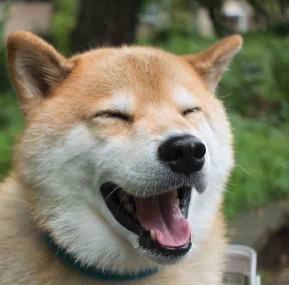 maru