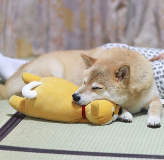 maru