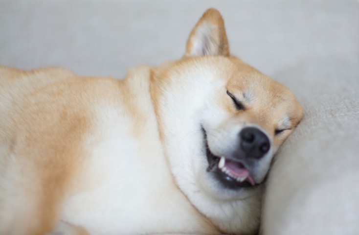 maru