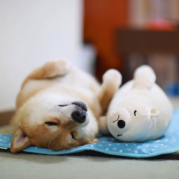 maru
