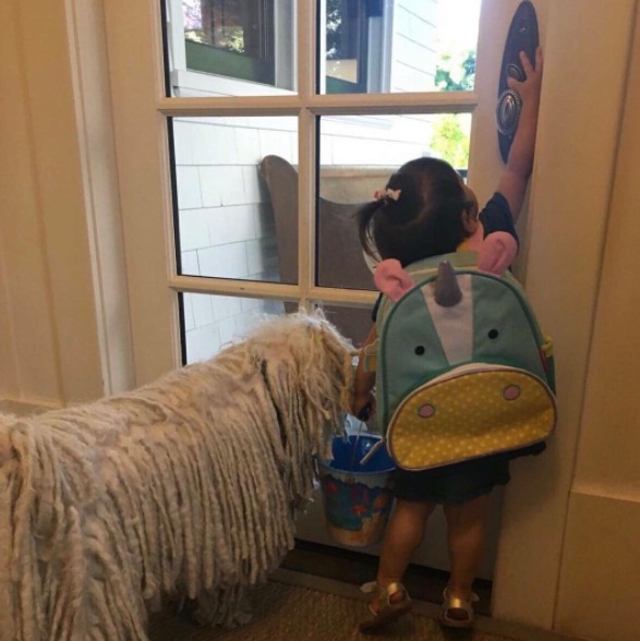 Screen Shot 2017-09-14 at 5.43.42 PM