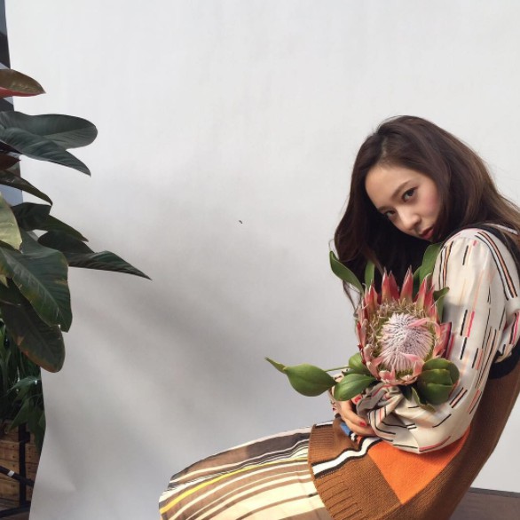 Screen Shot 2017-09-18 at 4.47.32 PM