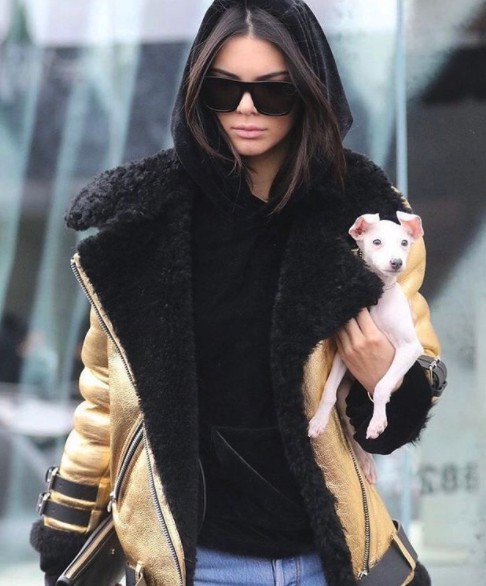 kendal
