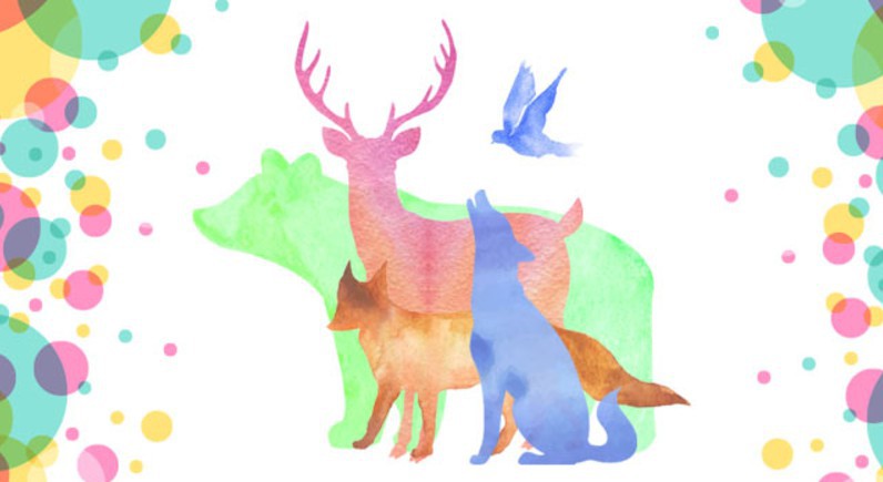 Screen Shot 2017-09-27 at 11.50.25 AM