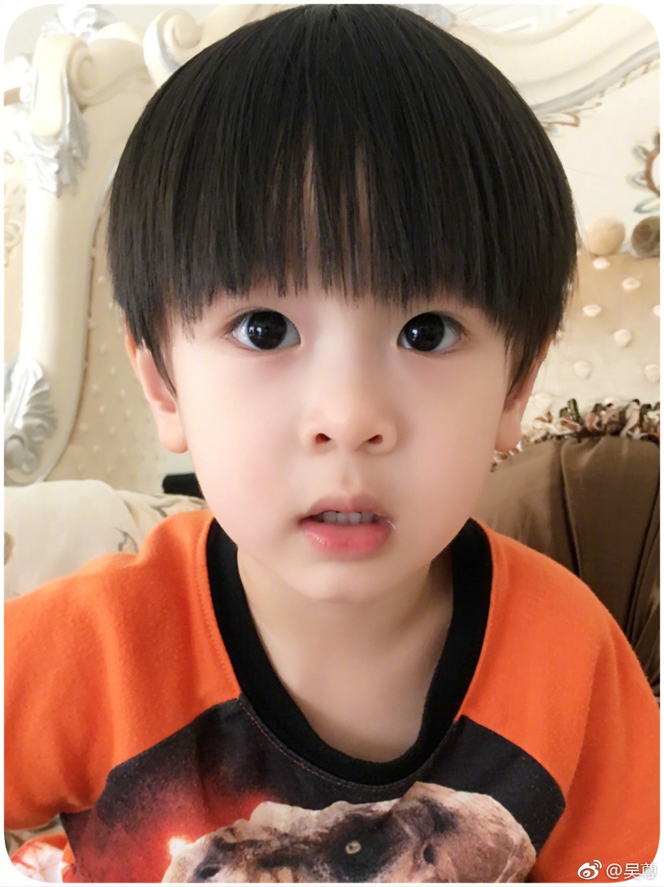 e7395209ly1fja0wjn6hgj20qo0zm1kx