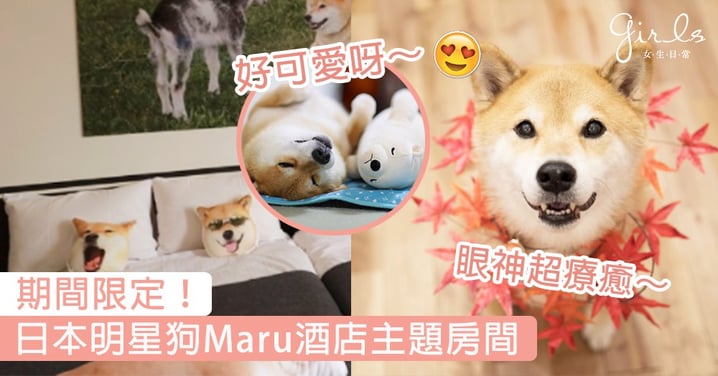 期間限定！全日本最紅柴犬Maru進駐東京酒店，超可愛主題房間令你唔想再返屋企～