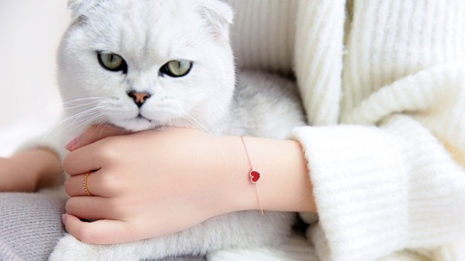 Screen Shot 2017-10-06 at 3.57.46 PM