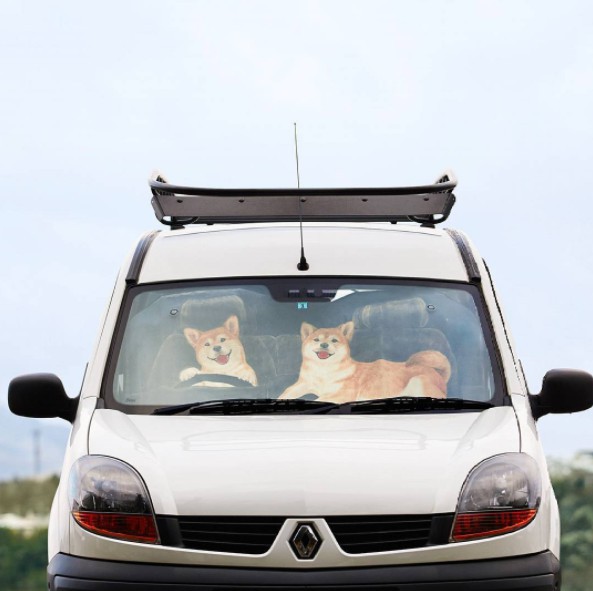 Screen Shot 2017-10-10 at 11.35.05 AM