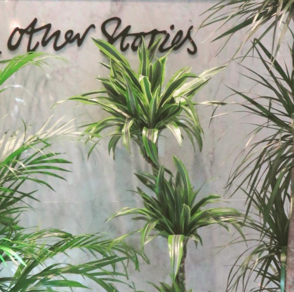 Screen Shot 2017-10-17 at 6.37.06 PM