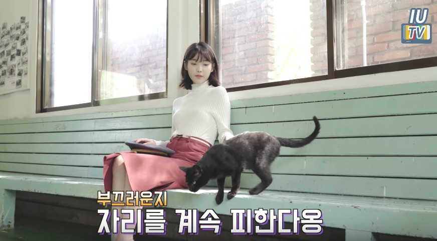 Screen Shot 2017-10-18 at 11.47.45 AM