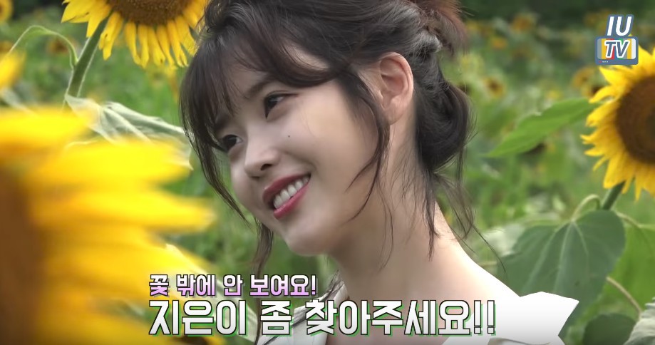 Screen Shot 2017-10-18 at 11.48.04 AM